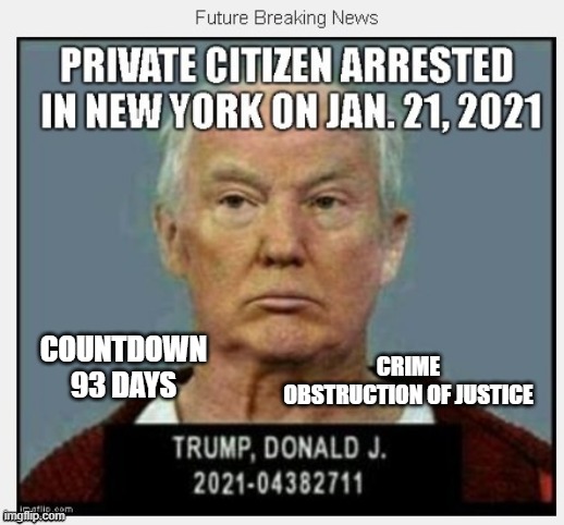 93 Days Until January 21, 2021 | CRIME
OBSTRUCTION OF JUSTICE; COUNTDOWN
93 DAYS | image tagged in countdown,conman,criminal,liar,traitor,russian mafia | made w/ Imgflip meme maker