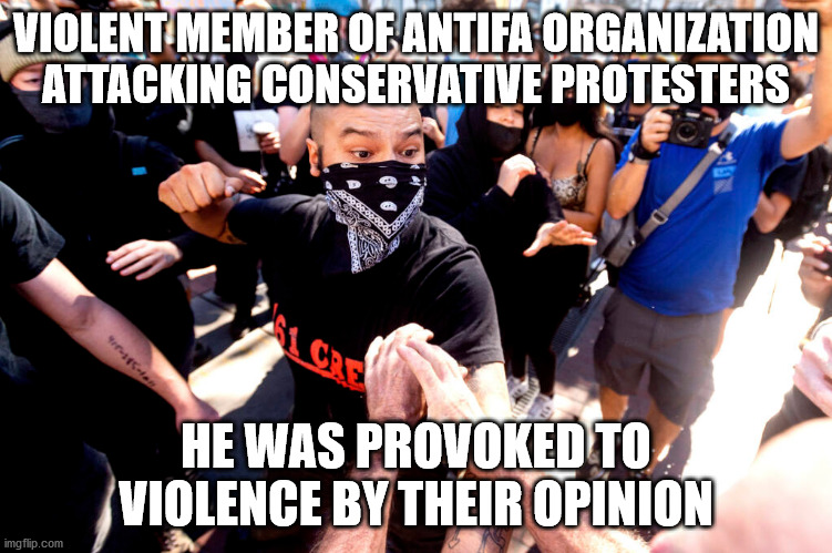 VIOLENT MEMBER OF ANTIFA ORGANIZATION ATTACKING CONSERVATIVE PROTESTERS HE WAS PROVOKED TO VIOLENCE BY THEIR OPINION | made w/ Imgflip meme maker