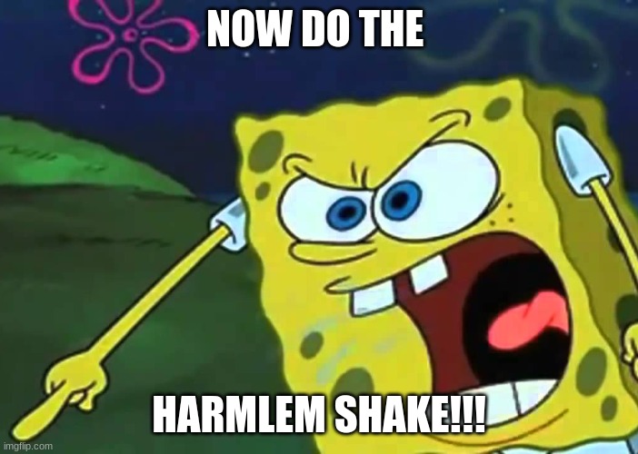 DO iT!! | NOW DO THE; HARMLEM SHAKE!!! | image tagged in epic,troll | made w/ Imgflip meme maker