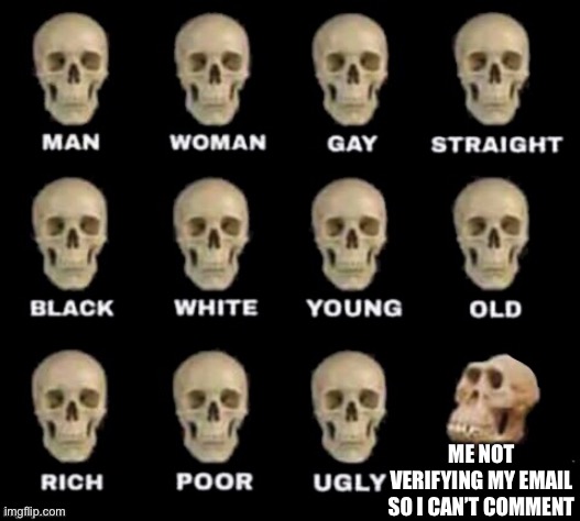 idiot skull | ME NOT VERIFYING MY EMAIL SO I CAN’T COMMENT | image tagged in idiot skull | made w/ Imgflip meme maker