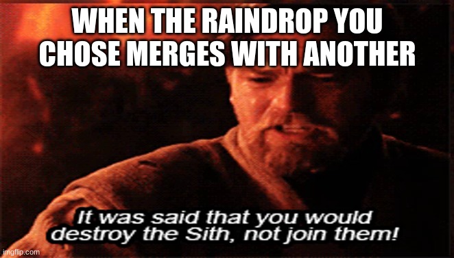 WHEN THE RAINDROP YOU CHOSE MERGES WITH ANOTHER | image tagged in funny memes | made w/ Imgflip meme maker