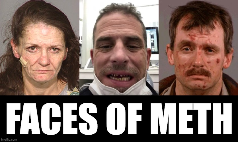 Biden 2020! | FACES OF METH | image tagged in hunter biden,faces of meth,memes | made w/ Imgflip meme maker