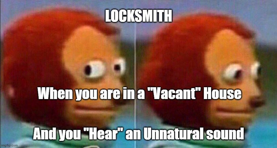 Locksmith looking away | LOCKSMITH; When you are in a "Vacant" House; And you "Hear" an Unnatural sound | image tagged in monkey looking away,scared,noise | made w/ Imgflip meme maker