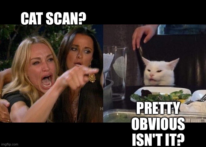 Woman yelling at cat | CAT SCAN? PRETTY OBVIOUS ISN'T IT? | image tagged in woman yelling at smudge the cat | made w/ Imgflip meme maker