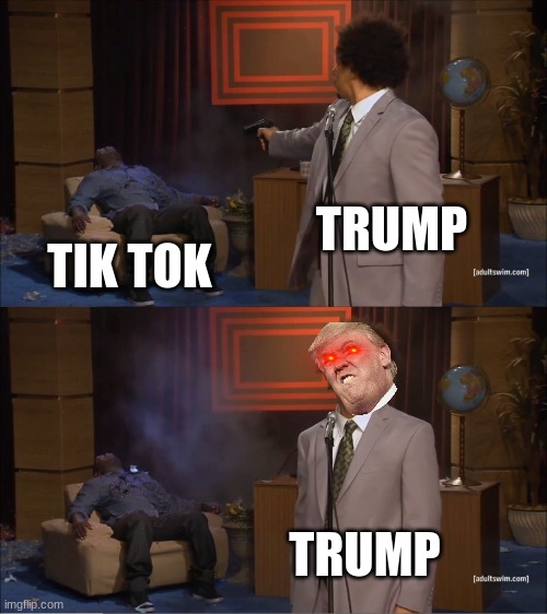 im just bored | TRUMP; TIK TOK; TRUMP | image tagged in memes,who killed hannibal | made w/ Imgflip meme maker