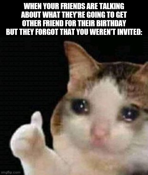 It's just like "I'm still here tho... And I'm still not invited..." | WHEN YOUR FRIENDS ARE TALKING ABOUT WHAT THEY'RE GOING TO GET OTHER FRIEND FOR THEIR BIRTHDAY BUT THEY FORGOT THAT YOU WEREN'T INVITED: | image tagged in sad thumbs up cat | made w/ Imgflip meme maker
