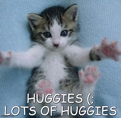Cat Open Arms | HUGGIES (;
LOTS OF HUGGIES | image tagged in cat open arms | made w/ Imgflip meme maker