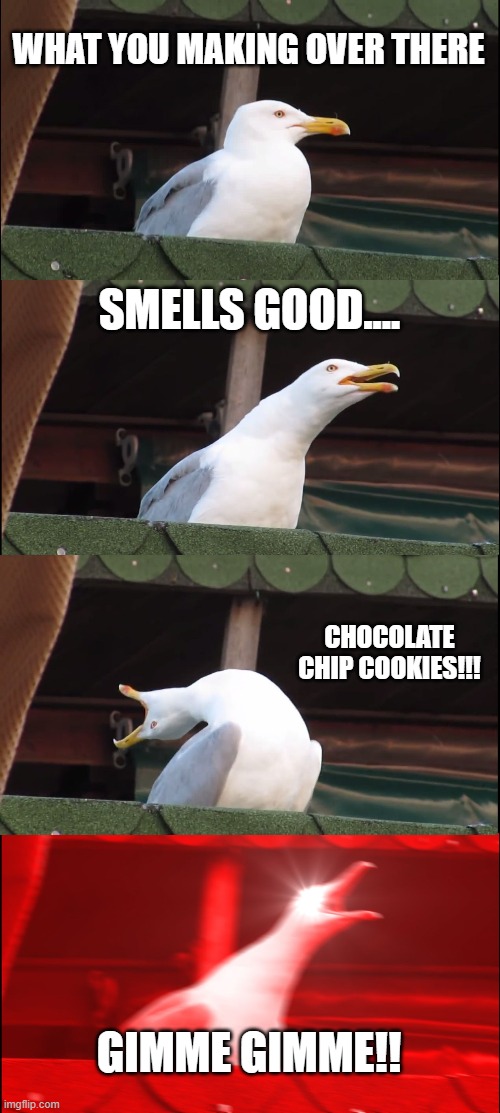 Inhaling Seagull | WHAT YOU MAKING OVER THERE; SMELLS GOOD.... CHOCOLATE CHIP COOKIES!!! GIMME GIMME!! | image tagged in memes,inhaling seagull | made w/ Imgflip meme maker
