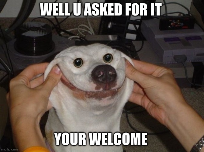 youre welcome dog