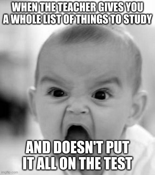 based on personal experiences | WHEN THE TEACHER GIVES YOU A WHOLE LIST OF THINGS TO STUDY; AND DOESN'T PUT IT ALL ON THE TEST | image tagged in memes,angry baby | made w/ Imgflip meme maker
