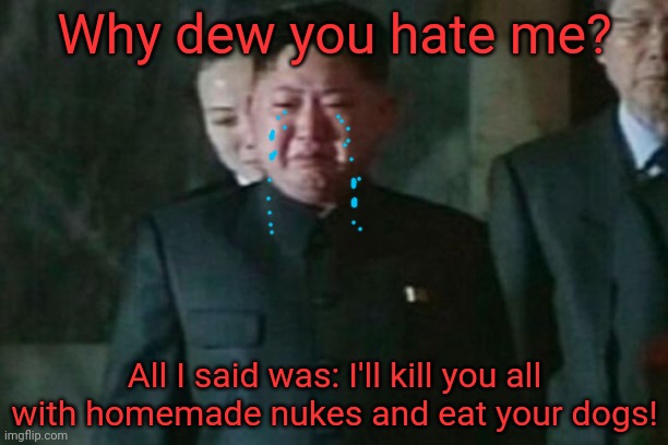 Kim Jong Un Sad Meme | Why dew you hate me? All I said was: I'll kill you all with homemade nukes and eat your dogs! | image tagged in memes,kim jong un sad | made w/ Imgflip meme maker