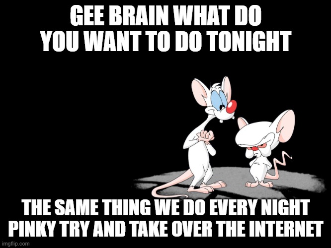 Pinky And The Brain | GEE BRAIN WHAT DO YOU WANT TO DO TONIGHT; THE SAME THING WE DO EVERY NIGHT PINKY TRY AND TAKE OVER THE INTERNET | image tagged in pinky and the brain,memes | made w/ Imgflip meme maker