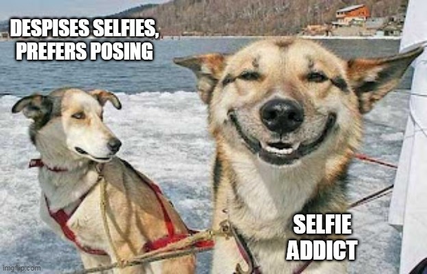 Selfies ugh |  DESPISES SELFIES, PREFERS POSING; SELFIE ADDICT | image tagged in memes,original stoner dog,selfie,yuck | made w/ Imgflip meme maker