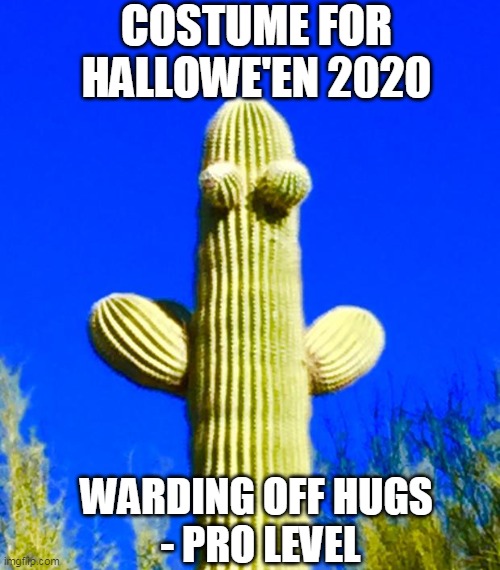 Hallowe'en in 2020 | COSTUME FOR HALLOWE'EN 2020; WARDING OFF HUGS 
- PRO LEVEL | image tagged in 2020,halloween,costume,cactus,hug,memes | made w/ Imgflip meme maker