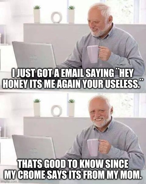 WHY?!?!?! | I JUST GOT A EMAIL SAYING ¨HEY HONEY ITS ME AGAIN YOUR USELESS.¨; THATS GOOD TO KNOW SINCE MY CROME SAYS ITS FROM MY MOM. | image tagged in memes,hide the pain harold,why did i make this | made w/ Imgflip meme maker