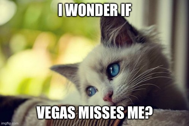First World Problems Cat | I WONDER IF; VEGAS MISSES ME? | image tagged in memes,first world problems cat | made w/ Imgflip meme maker