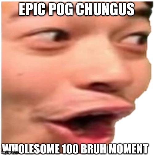 EPIC POG CHUNGUS; WHOLESOME 100 BRUH MOMENT | made w/ Imgflip meme maker