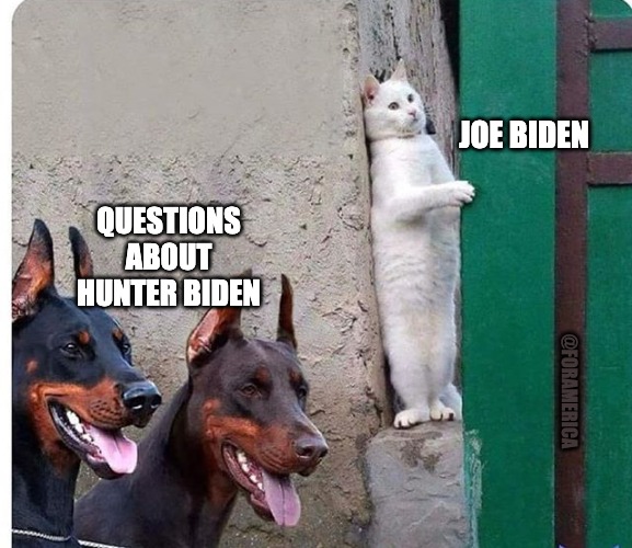 Hidden cat | JOE BIDEN; QUESTIONS ABOUT HUNTER BIDEN; @FORAMERICA | image tagged in hidden cat | made w/ Imgflip meme maker