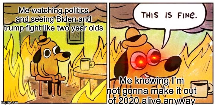 This Is Fine | Me watching politics and seeing Biden and trump fight like two year olds; Me knowing I’m not gonna make it out of 2020 alive anyway | image tagged in memes,this is fine | made w/ Imgflip meme maker