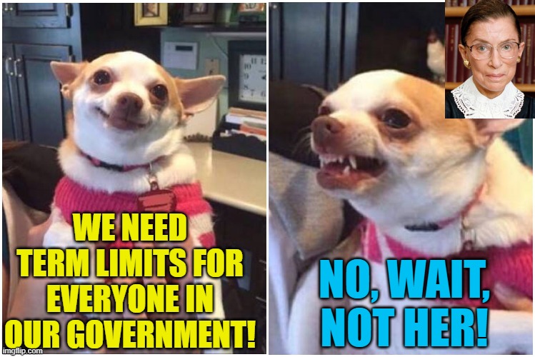 Hypocrite Dems be like | WE NEED TERM LIMITS FOR EVERYONE IN OUR GOVERNMENT! NO, WAIT, NOT HER! | image tagged in happy chihuahua angry chihuahua,political meme,ruth bader ginsburg,term limits | made w/ Imgflip meme maker
