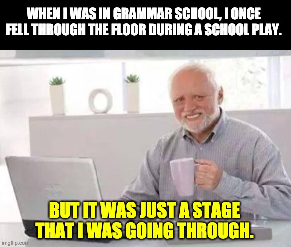 Stage | WHEN I WAS IN GRAMMAR SCHOOL, I ONCE FELL THROUGH THE FLOOR DURING A SCHOOL PLAY. BUT IT WAS JUST A STAGE THAT I WAS GOING THROUGH. | image tagged in harold | made w/ Imgflip meme maker