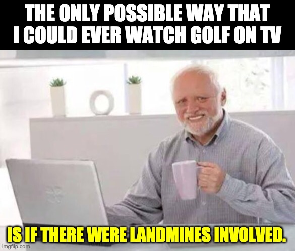 Golf | THE ONLY POSSIBLE WAY THAT I COULD EVER WATCH GOLF ON TV; IS IF THERE WERE LANDMINES INVOLVED. | image tagged in harold | made w/ Imgflip meme maker