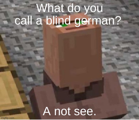 Minecraft Villager Looking Up | What do you call a blind german? A not see. | image tagged in minecraft villager looking up | made w/ Imgflip meme maker