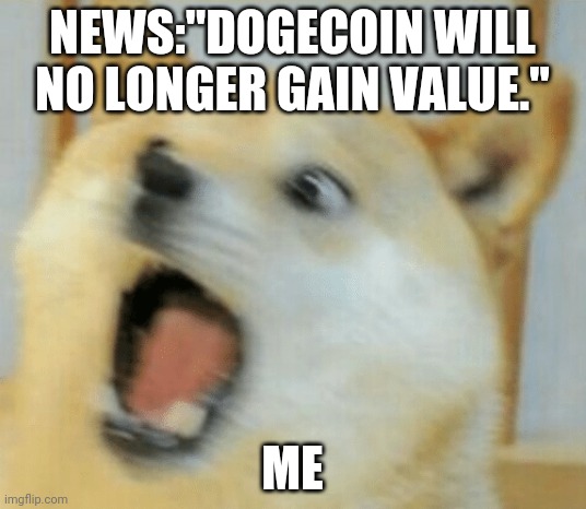 Freak out | NEWS:"DOGECOIN WILL NO LONGER GAIN VALUE."; ME | image tagged in doge | made w/ Imgflip meme maker
