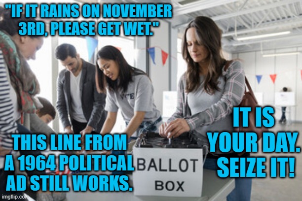 It's Almost Over. | "IF IT RAINS ON NOVEMBER 3RD, PLEASE GET WET."; IT IS YOUR DAY.  SEIZE IT! THIS LINE FROM A 1964 POLITICAL AD STILL WORKS. | image tagged in politics | made w/ Imgflip meme maker