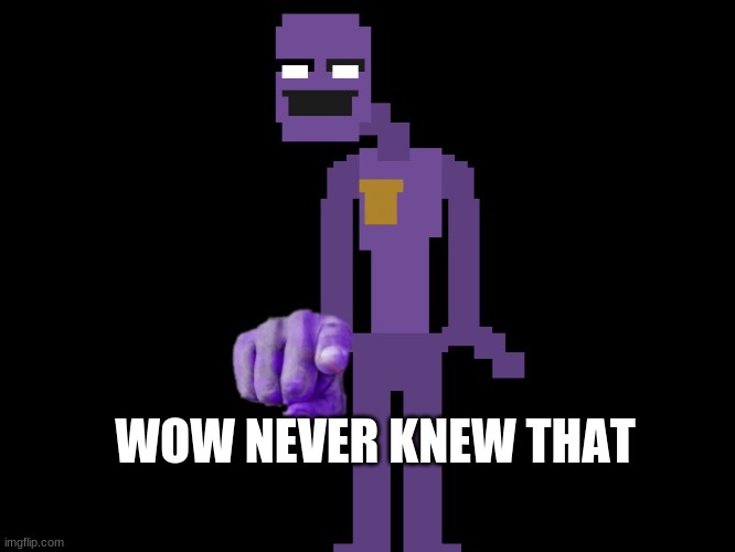 Purple guy pointing | WOW NEVER KNEW THAT | image tagged in purple guy pointing | made w/ Imgflip meme maker