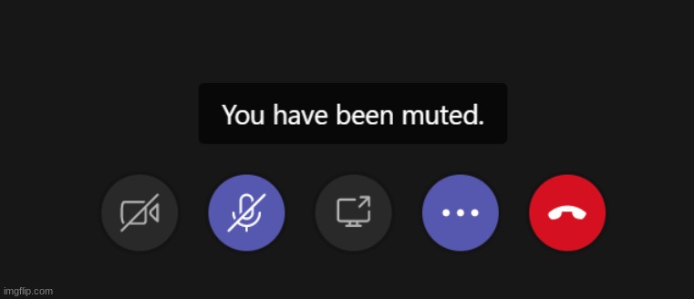 You have been muted | image tagged in you have been muted | made w/ Imgflip meme maker