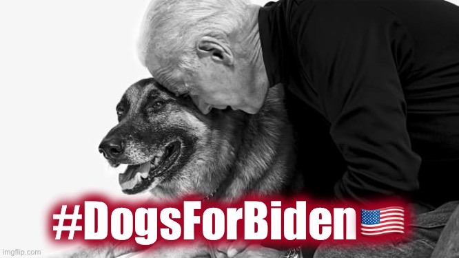 Dogs For Biden | #DogsForBiden🇺🇸 | image tagged in dogs,biden,biden2020 | made w/ Imgflip meme maker