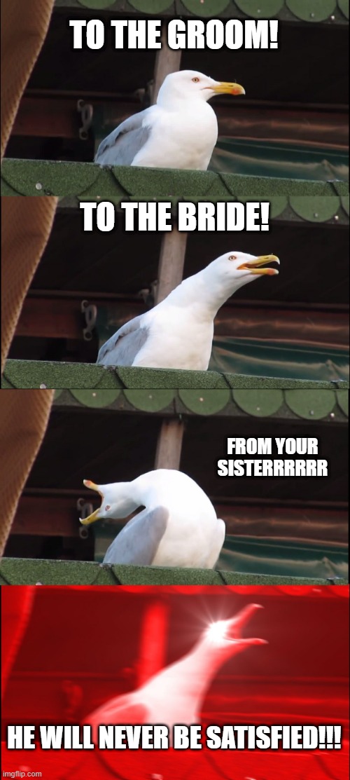 LOL | TO THE GROOM! TO THE BRIDE! FROM YOUR SISTERRRRRR; HE WILL NEVER BE SATISFIED!!! | image tagged in memes,inhaling seagull,i tried,lol,hamilton,sisters | made w/ Imgflip meme maker