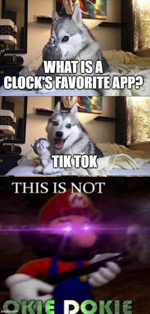 This Is Not OKIE DOKIE | WHAT IS A CLOCK'S FAVORITE APP? TIK TOK | image tagged in memes,bad pun dog | made w/ Imgflip meme maker