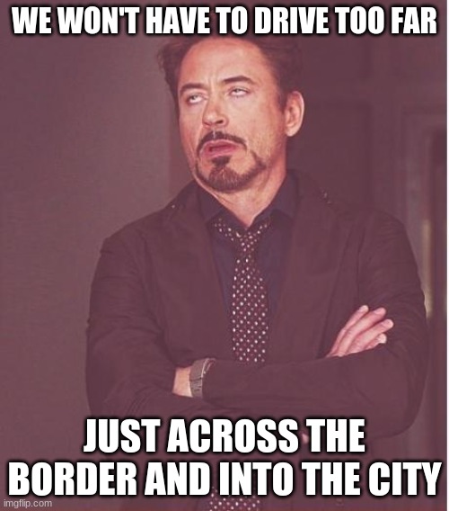 Face You Make Robert Downey Jr Meme | WE WON'T HAVE TO DRIVE TOO FAR; JUST ACROSS THE BORDER AND INTO THE CITY | image tagged in memes,face you make robert downey jr,fast car 1 | made w/ Imgflip meme maker