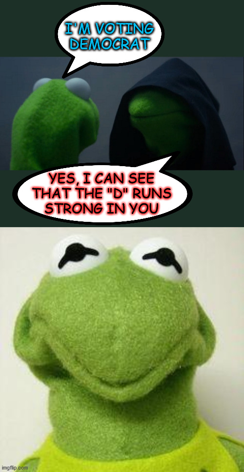 Kermit Face | I'M VOTING DEMOCRAT; YES, I CAN SEE
THAT THE "D" RUNS
STRONG IN YOU | image tagged in kermit face,memes,evil kermit,democrat,no no hes got a point,i see what you did there | made w/ Imgflip meme maker