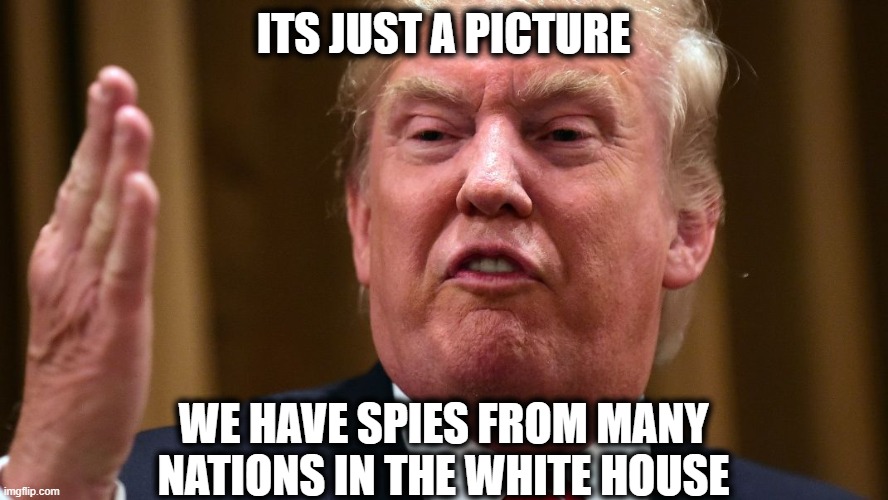 trump spank | ITS JUST A PICTURE WE HAVE SPIES FROM MANY NATIONS IN THE WHITE HOUSE | image tagged in trump spank | made w/ Imgflip meme maker