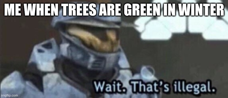 Wait that’s illegal | ME WHEN TREES ARE GREEN IN WINTER | image tagged in wait that s illegal,memes,stonks,meme | made w/ Imgflip meme maker