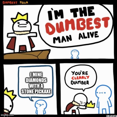 I'm the dumbest man alive | I MINE DIAMONDS WITH A STONE PICKAXE | image tagged in i'm the dumbest man alive | made w/ Imgflip meme maker