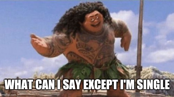 Honestly, at this point, I should stop complaining and start looking | WHAT CAN I SAY EXCEPT I'M SINGLE | image tagged in what can i say except x,i'm single,hmu,moana,maui,disney | made w/ Imgflip meme maker