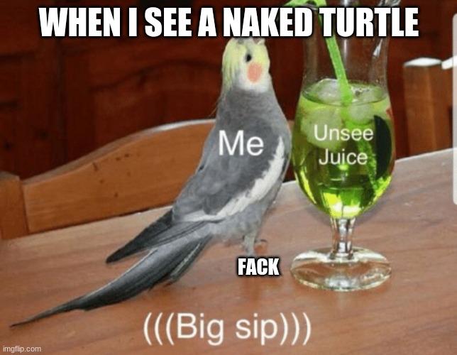 fack | WHEN I SEE A NAKED TURTLE; FACK | image tagged in unsee juice | made w/ Imgflip meme maker