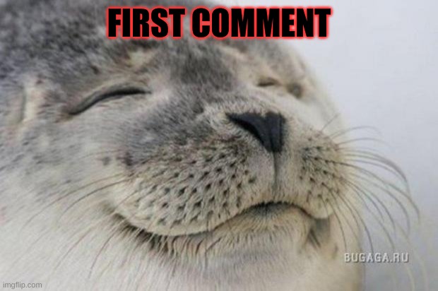Happy Seal | FIRST COMMENT | image tagged in happy seal | made w/ Imgflip meme maker