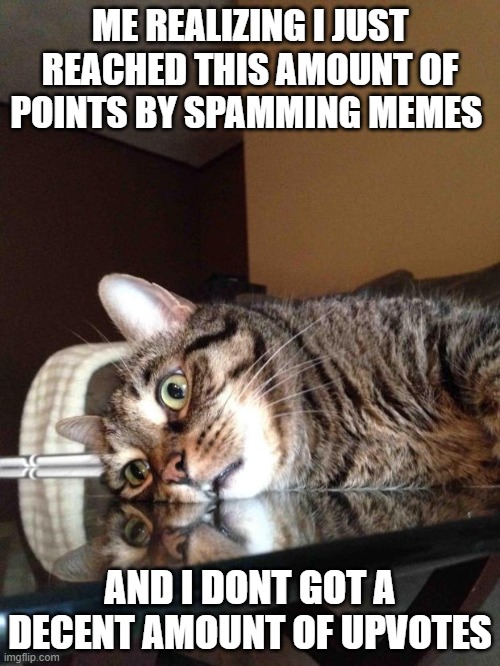 how i reached such rank with such bad quality |  ME REALIZING I JUST REACHED THIS AMOUNT OF POINTS BY SPAMMING MEMES; AND I DONT GOT A DECENT AMOUNT OF UPVOTES | image tagged in existential crisis cat | made w/ Imgflip meme maker