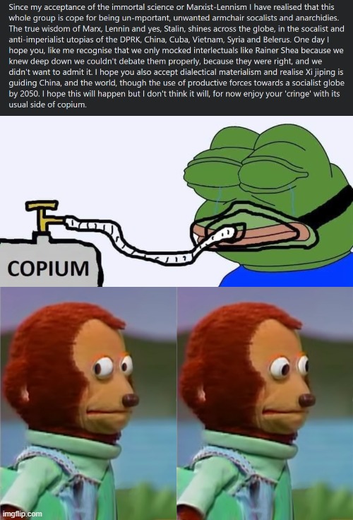 [i dunno if this was intended as satire or what but it makes even a liberal like me want to go full Pepe so] | image tagged in puppet monkey looking away | made w/ Imgflip meme maker