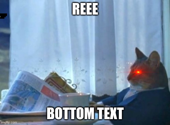 I Should Buy A Boat Cat Meme | REEE; BOTTOM TEXT | image tagged in memes,i should buy a boat cat | made w/ Imgflip meme maker