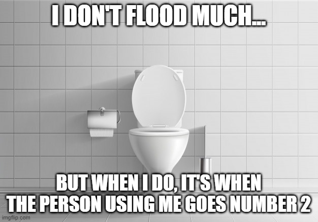 mischievous toilet | I DON'T FLOOD MUCH... BUT WHEN I DO, IT'S WHEN THE PERSON USING ME GOES NUMBER 2 | image tagged in toilet humor | made w/ Imgflip meme maker