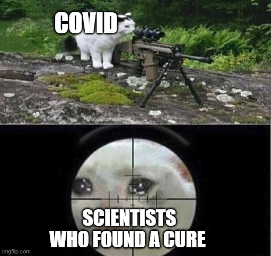 Sniper cat | COVID; SCIENTISTS WHO FOUND A CURE | image tagged in sniper cat | made w/ Imgflip meme maker