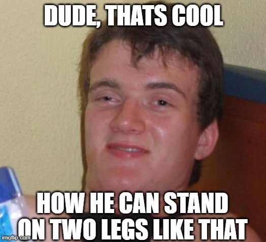 10 Guy Meme | DUDE, THATS COOL HOW HE CAN STAND ON TWO LEGS LIKE THAT | image tagged in memes,10 guy | made w/ Imgflip meme maker