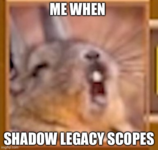 new r6 scopes shlap | ME WHEN; SHADOW LEGACY SCOPES | image tagged in squirell nut,shadow legacy,rainbow six siege | made w/ Imgflip meme maker