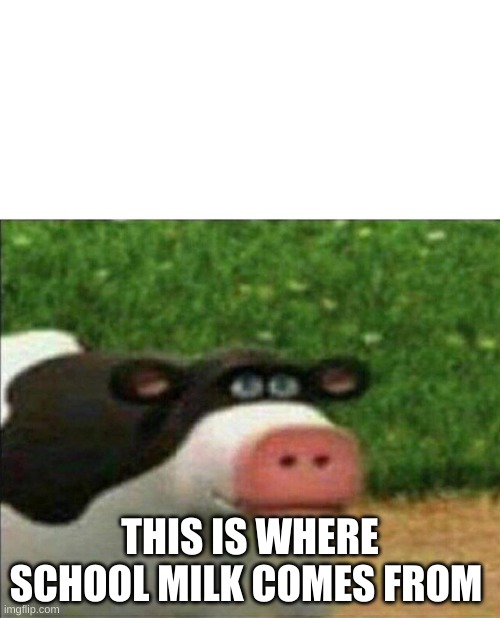 Perhaps cow | THIS IS WHERE SCHOOL MILK COMES FROM | image tagged in perhaps cow | made w/ Imgflip meme maker